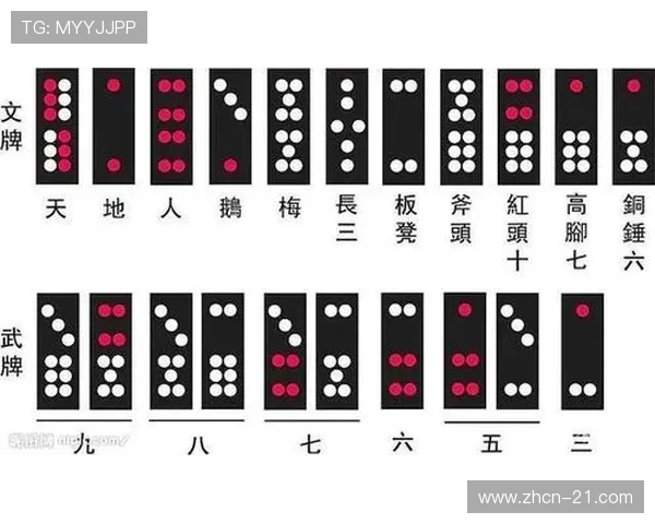 二十一点几副牌的适合人群与入门指南详细解析
