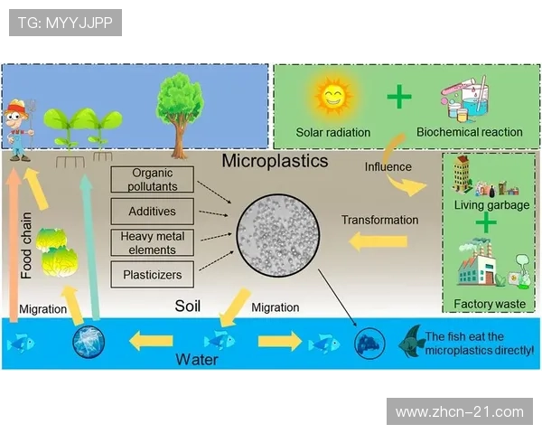 二十一点中最大牌型的形成条件与常见组合分析指南